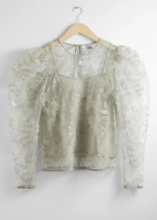 Sheer Embroidered Organza Blouse | & Other Stories Cheap